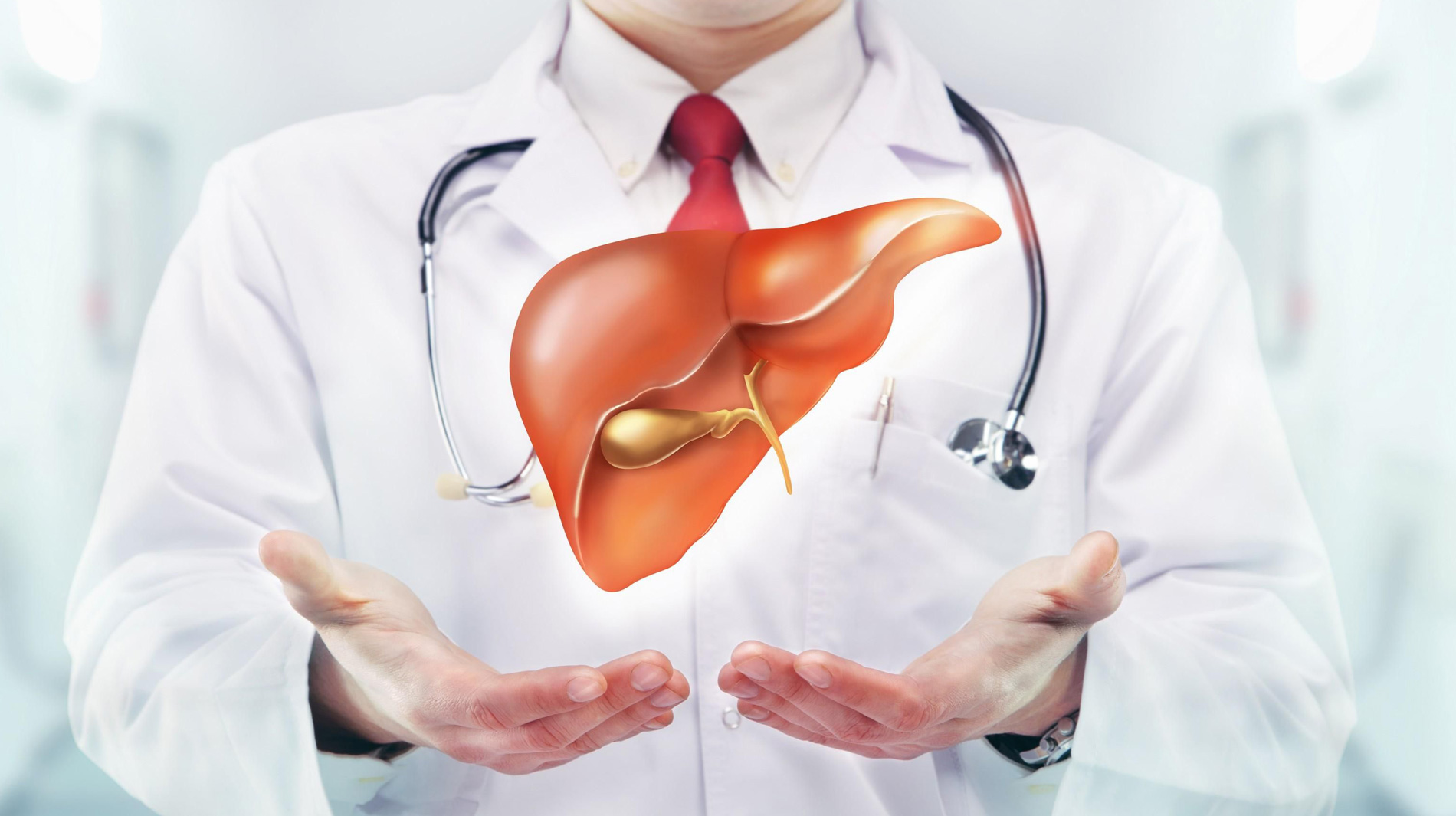 digestive-and-liver-health-hero